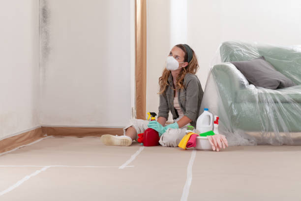Reliable Mold Inspection contractor in Malvern, PA by WQB Mold Removal