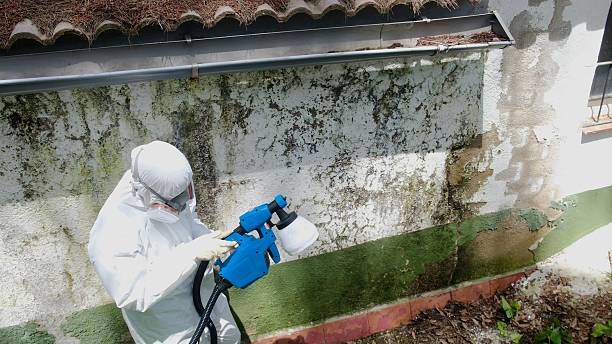 Top rated local Mold Inspection specialists in Malvern, PA